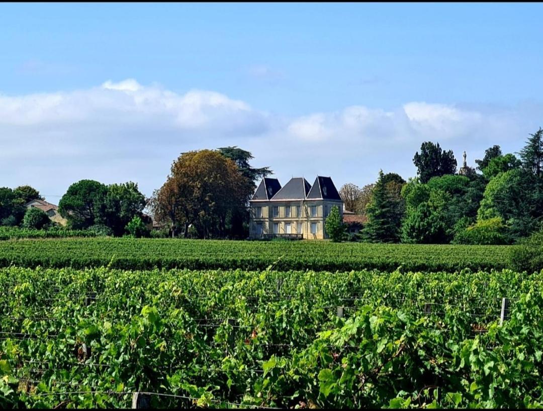 Chateau Tanesse De Tourny Bayon Eksteriør billede